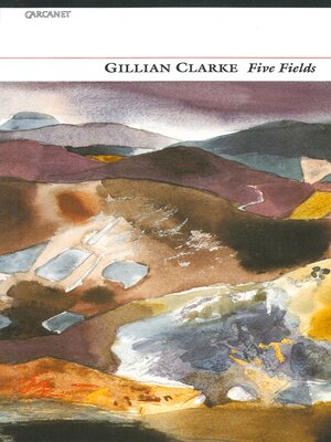 cover image of Five Fields
